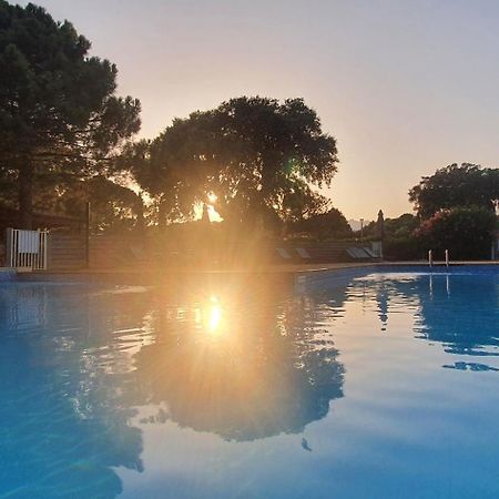 Fiori Di Cala Rossa Appartement T3 Dans Residence Hotelliere Chez Virginie Lecci Dış mekan fotoğraf