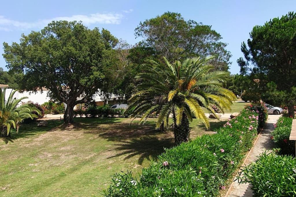 Fiori Di Cala Rossa Appartement T3 Dans Residence Hotelliere Chez Virginie Lecci Dış mekan fotoğraf